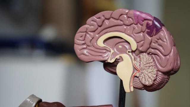 Dementia